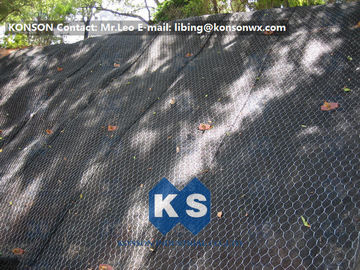 Scatole rivestite esagonali del gabbione del PE del polietilene del muro di sostegno del canestro del gabbione della rete metallica